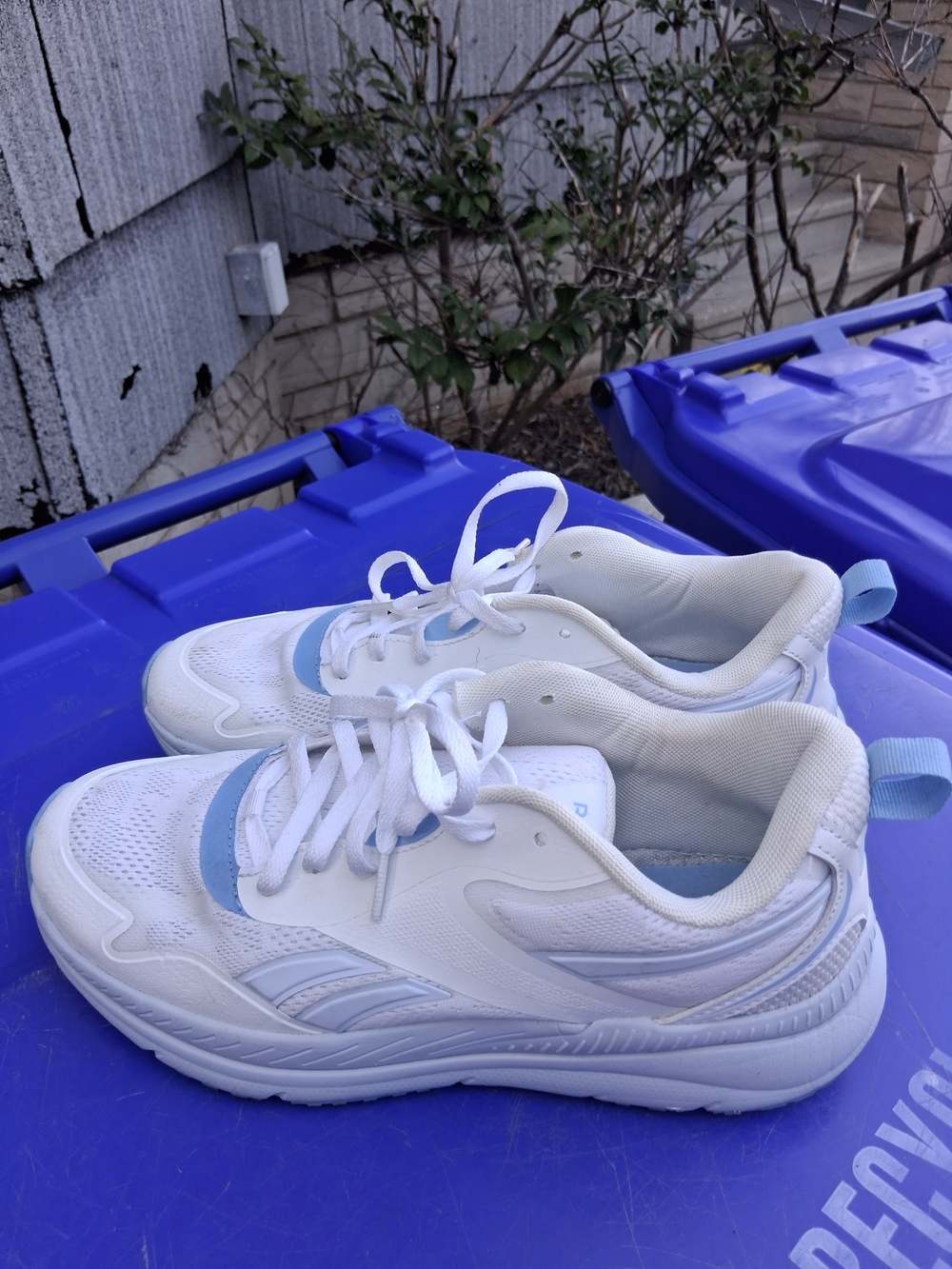 Size 11 Reedbok Womens Shoes